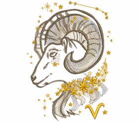 Sternzeichen Steinbock, Kissen mit Sternzeichen eingestickt und Name mit Zodiakzeichen