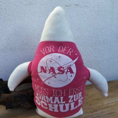 Sonderanfertigung Raketenkissen für Sabine
