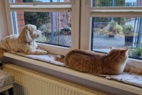 Ich nähe Polster, Unterlagen und vor allem Fensterbankkissen in vielen Wunschgrößen und Wunschlängen zentimetergenau und passgenau aus dem Stoff deiner Wahl.