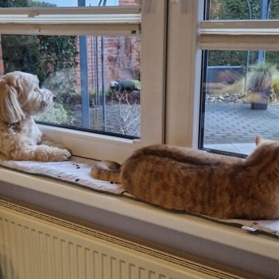 Ich nähe Polster, Unterlagen und vor allem Fensterbankkissen in vielen Wunschgrößen und Wunschlängen zentimetergenau und passgenau aus dem Stoff deiner Wahl.