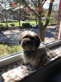 Ich nähe Polster, Unterlagen und vor allem Fensterbankkissen in vielen Wunschgrößen und Wunschlängen zentimetergenau und passgenau aus dem Stoff deiner Wahl.