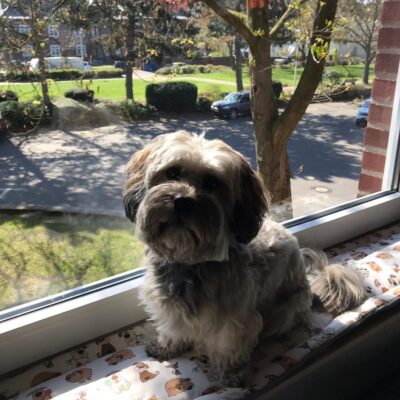 Ich nähe Polster, Unterlagen und vor allem Fensterbankkissen in vielen Wunschgrößen und Wunschlängen zentimetergenau und passgenau aus dem Stoff deiner Wahl.