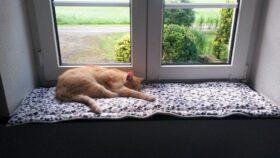 Ich nähe Polster, Unterlagen und vor allem Fensterbankkissen in vielen Wunschgrößen und Wunschlängen zentimetergenau und passgenau aus dem Stoff deiner Wahl.