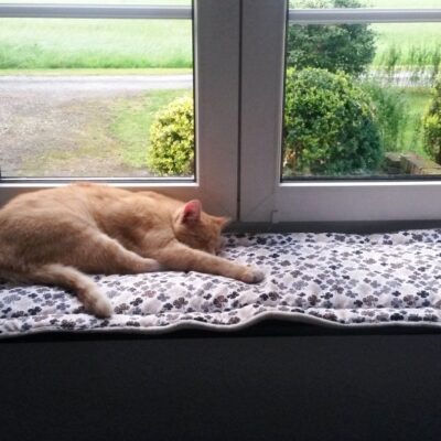 Ich nähe Polster, Unterlagen und vor allem Fensterbankkissen in vielen Wunschgrößen und Wunschlängen zentimetergenau und passgenau aus dem Stoff deiner Wahl.