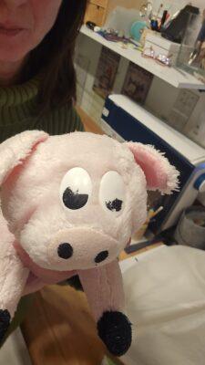 Stofftierrettung und Stofftier Reparatur. Schweinchen kommt in die Klinik