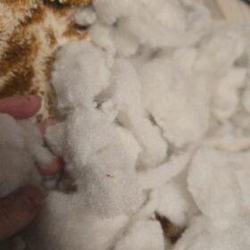 Alte Füllwatte entfernen aus deinem Lieblingskuscheltier in der Flausch-Ambulanz von E-LoCin Handarbeiten