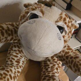 Aufgepolstertes Kuscheltier nach erfolgreicher Behandlung in der Flausch-Ambulanz von E-LoCin Handarbeiten