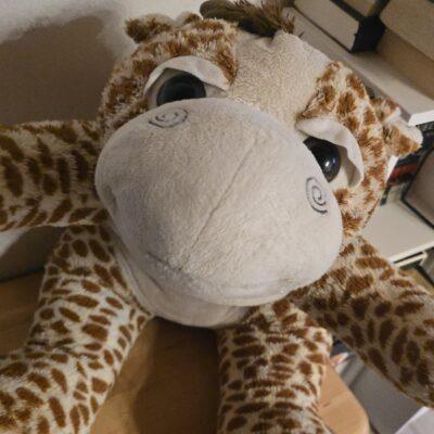 Aufgepolstertes Kuscheltier nach erfolgreicher Behandlung in der Flausch-Ambulanz von E-LoCin Handarbeiten