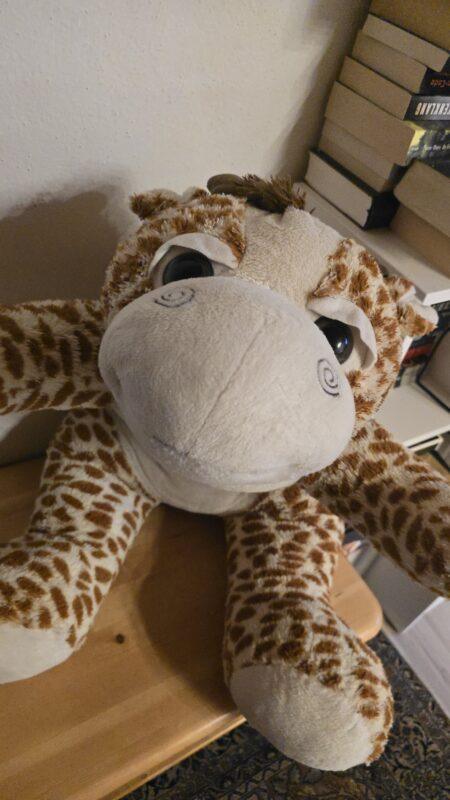 Aufgepolstertes Kuscheltier nach erfolgreicher Behandlung in der Flausch-Ambulanz von E-LoCin Handarbeiten