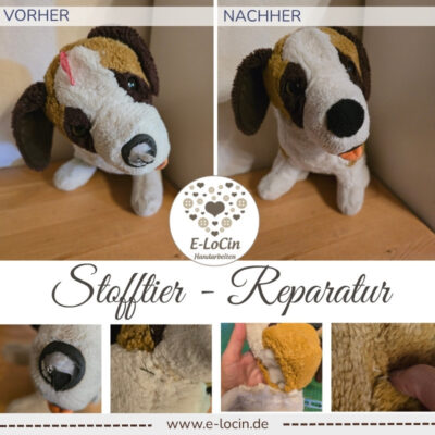 sehr alter Hund brauchte eine neue Nase, die übernäht wurde